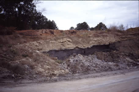 Tertiary outcrop near Little Rock