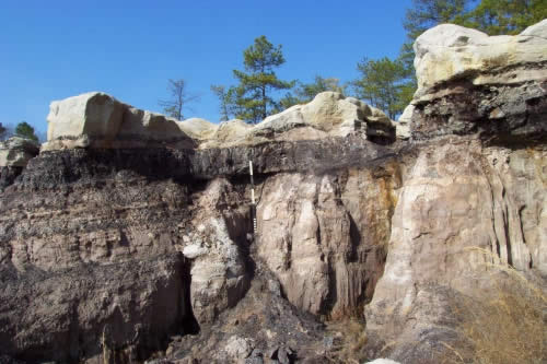 Approximately 2.5 feet of Tertiary ligntie from the Wilcox Formation is exposed in the highwall of theis abandoned clay pit.