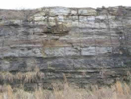 Atoka Formation along Highway 540 south of Fayetteville