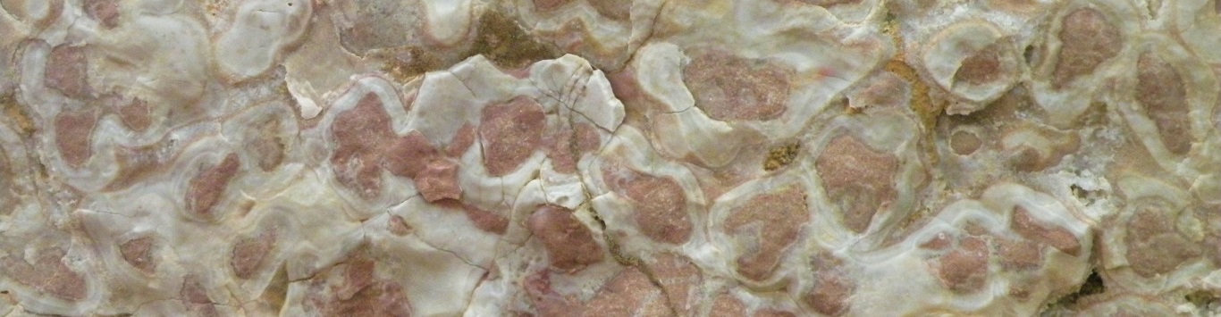Third slide Silurian period, brassfield-calcite