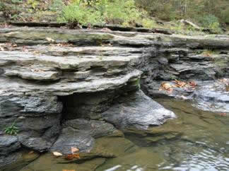 Cane Hill (thin bedded sandstone) above Imo Member (black shale) of Pitkin Formation in Bear Creek, Witts Springs Quadrangle