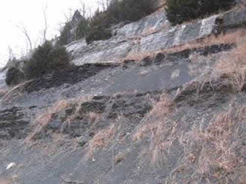 Chattanooga Shale at Bella Vista Arkansas.   Approximately 30-40 ft. exposed.   The St. Joe Limestone Member of the Boone Formation is present above the  Chattanooga Shale.