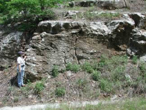 Fernvale Limestone exposed alogn Roasting Ear Road
