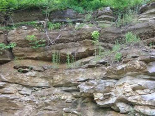 Hindsville Member (upper half of picture), consisting of a conglomeratic limestone, above the cherty Boone Limestone