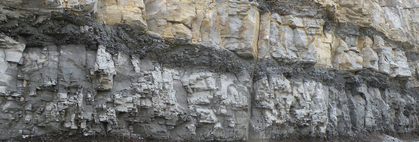 Third slide Ordovician period, powell-norfork