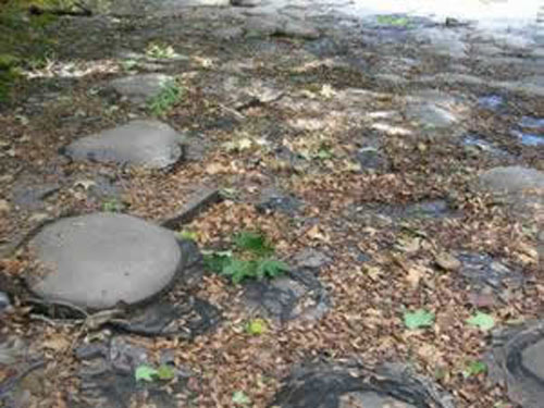 Lower poriton of the Fayetteville Shale