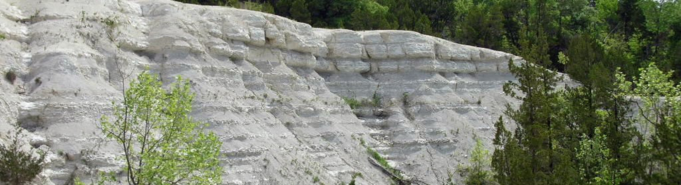 First slide Cretaceous Geological Mapping, whitecliffs
