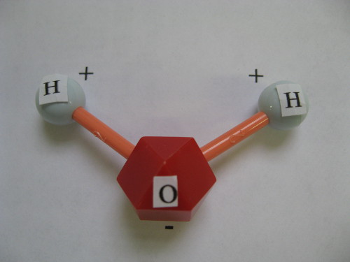 Model of a water Molecule