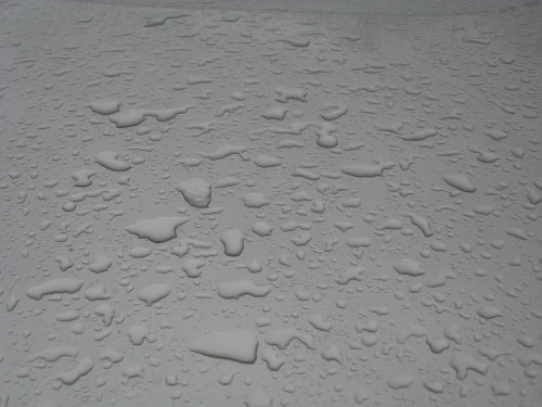 Water beads on hood of a car